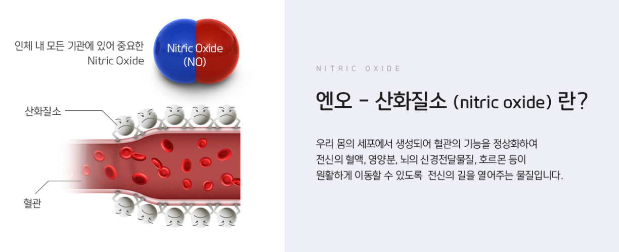 엔오 산화질소란-1.png