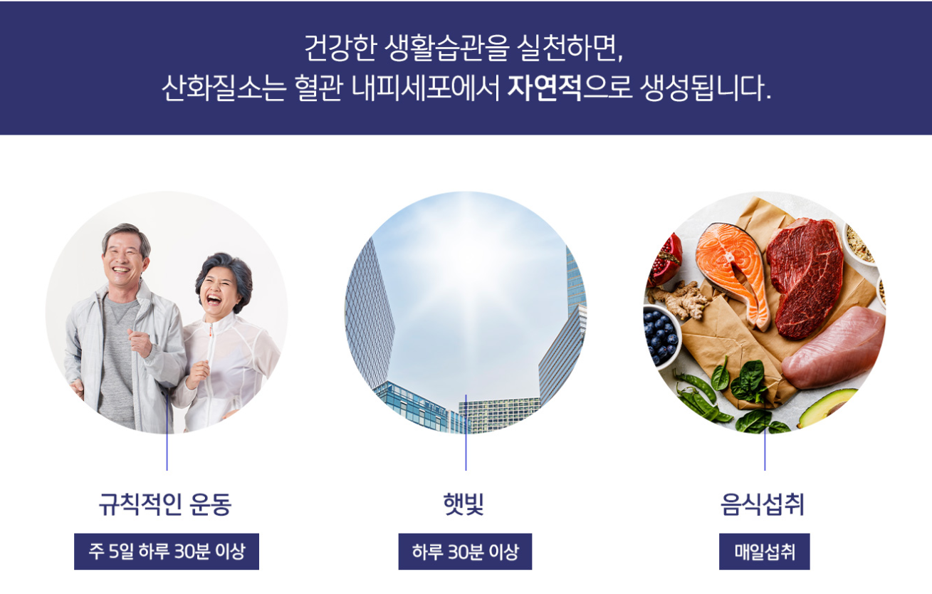 엔오 산화질소란-2.png