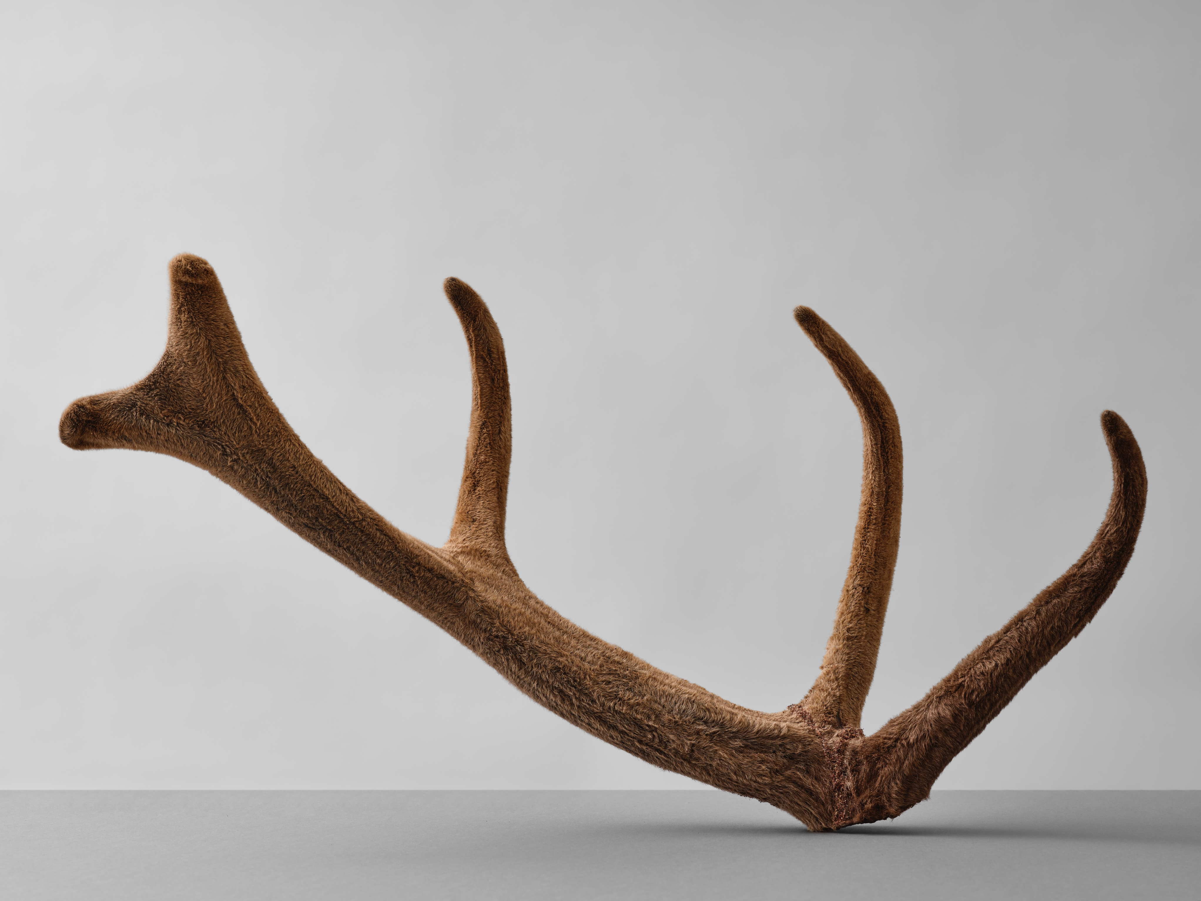 녹용한약 수壽 2