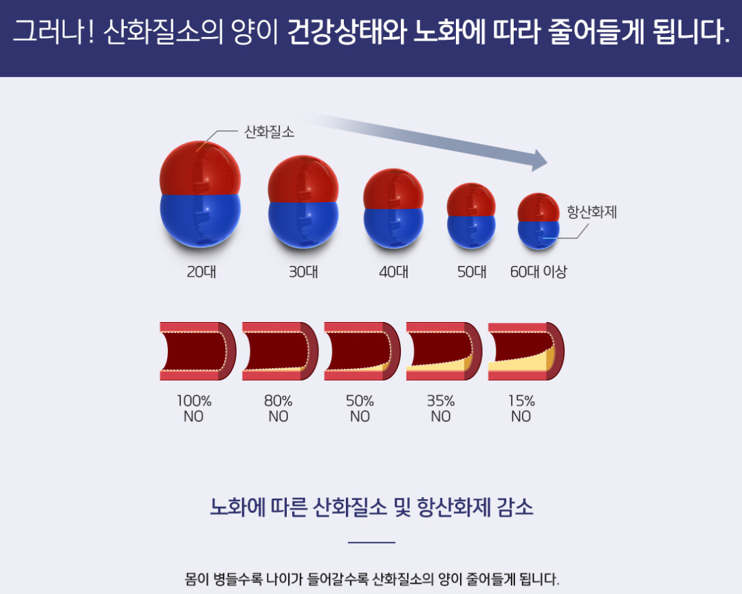 엔오 산화질소란-3.png
