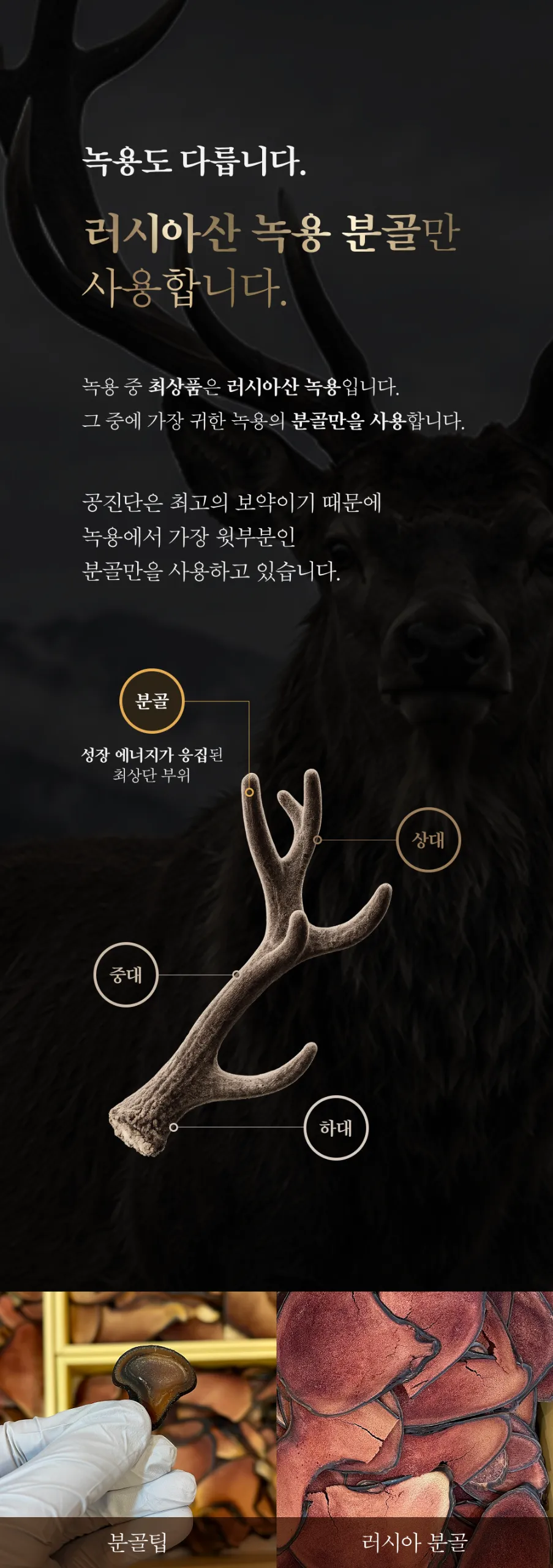 6.webp