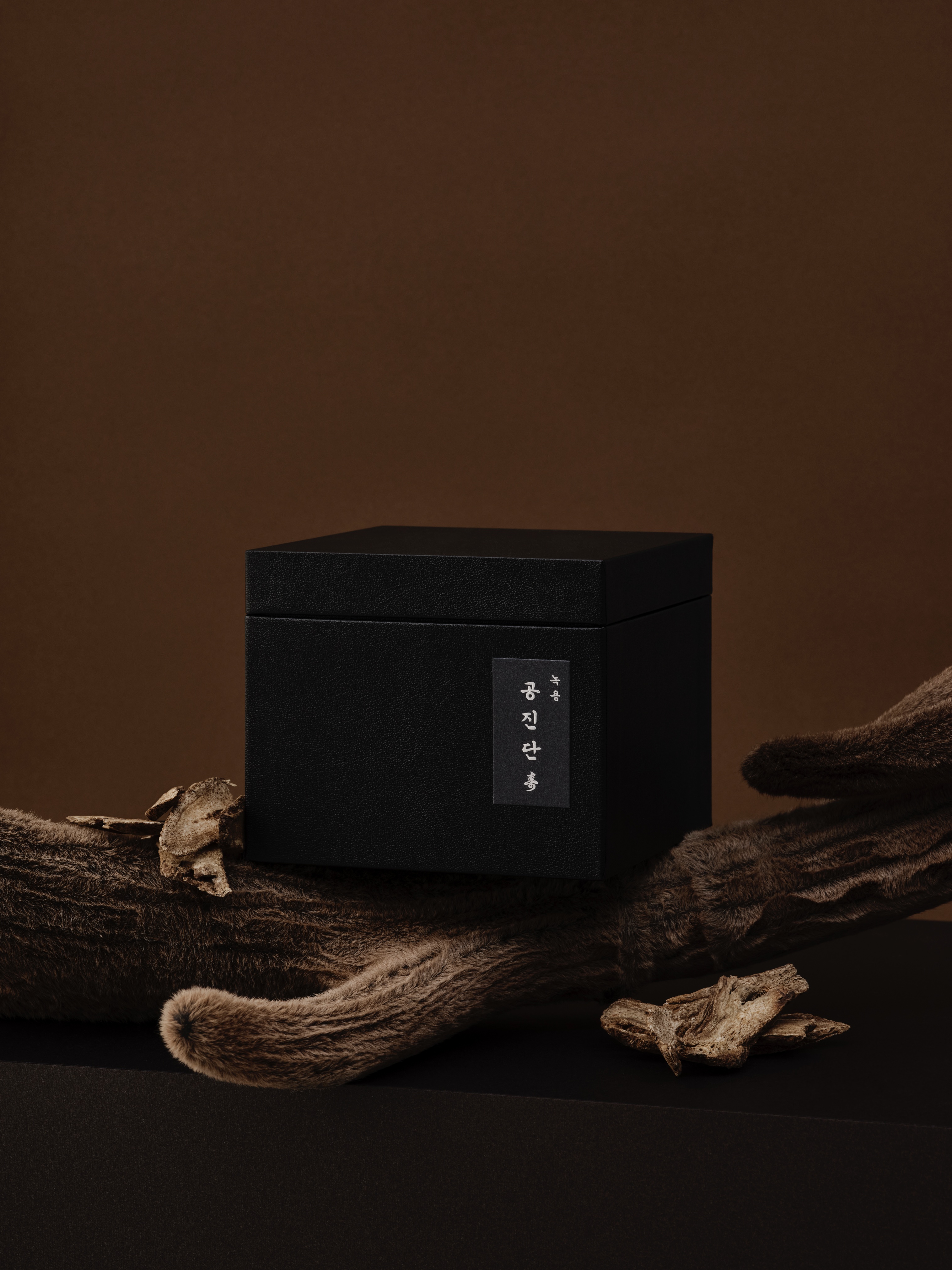 녹용공진단 수壽 4