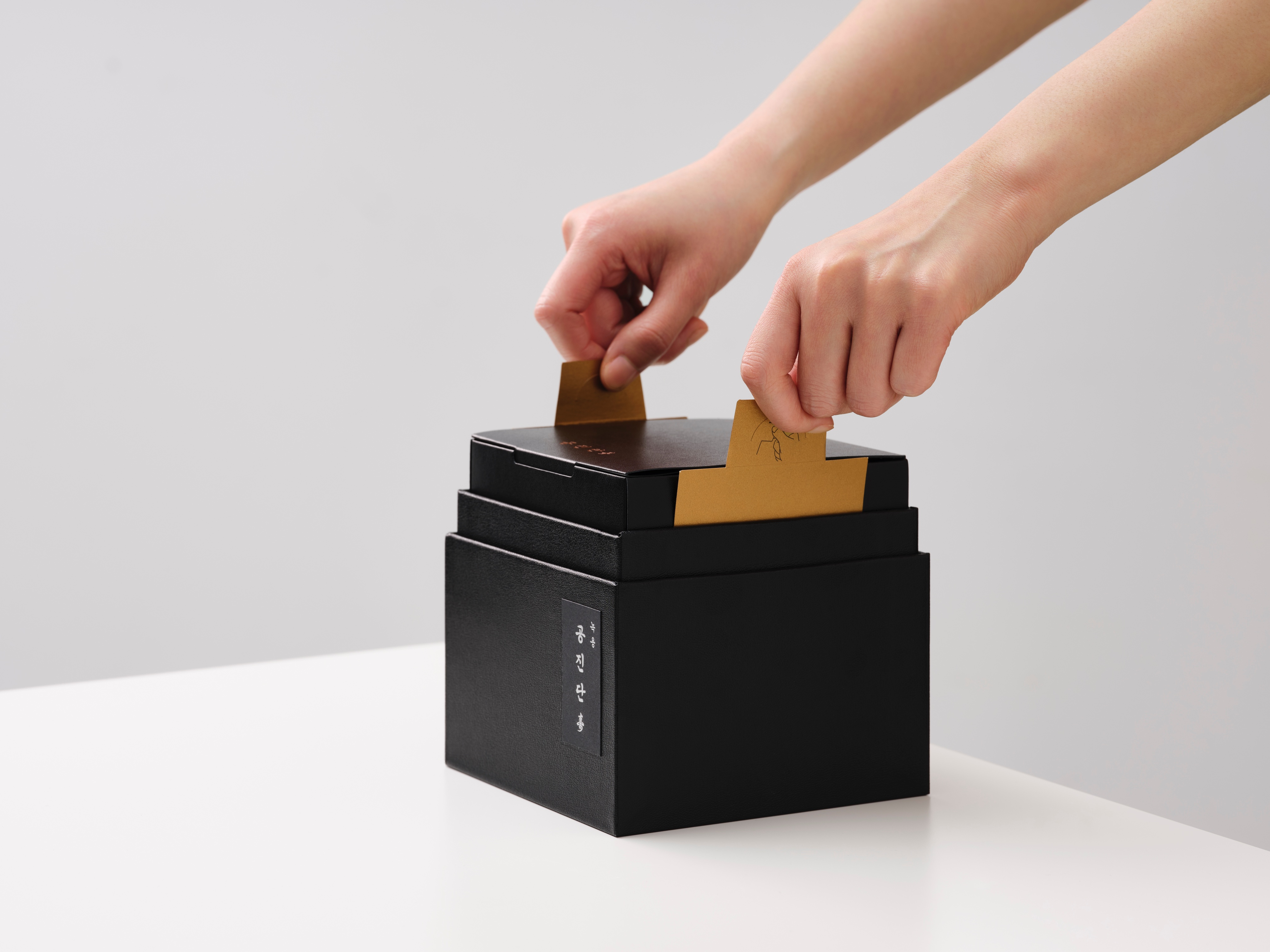 녹용공진단 수壽 3