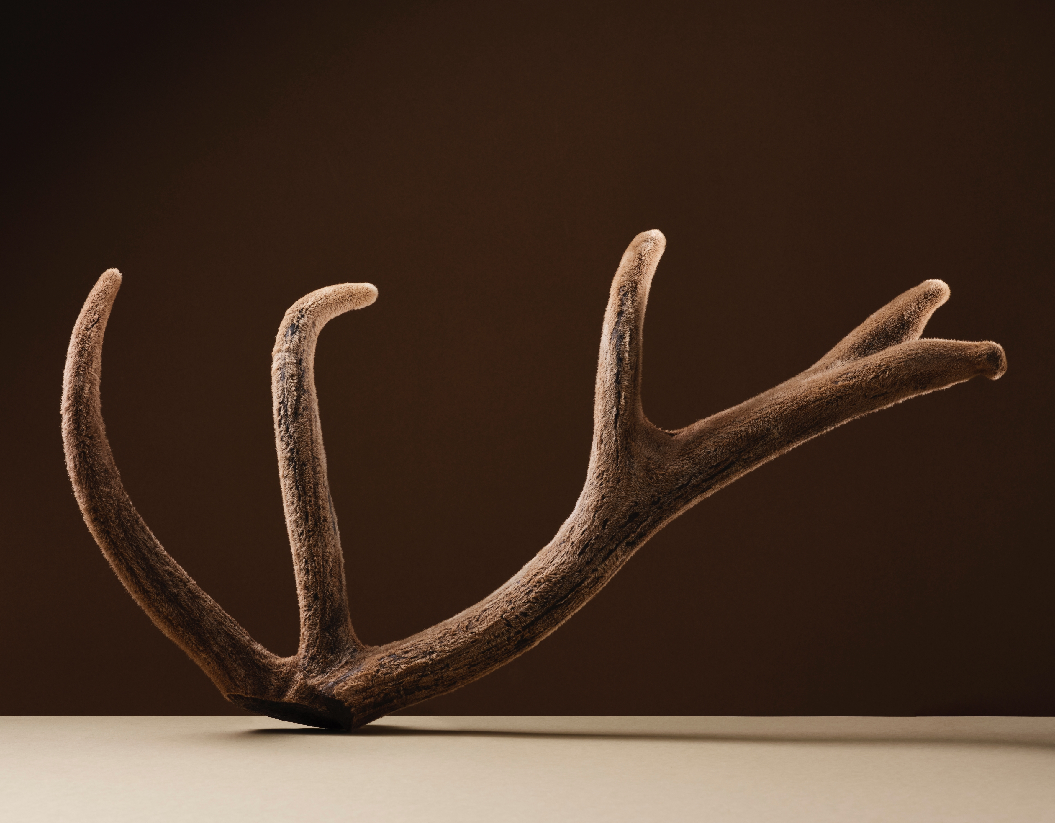 녹용한약 수壽 3