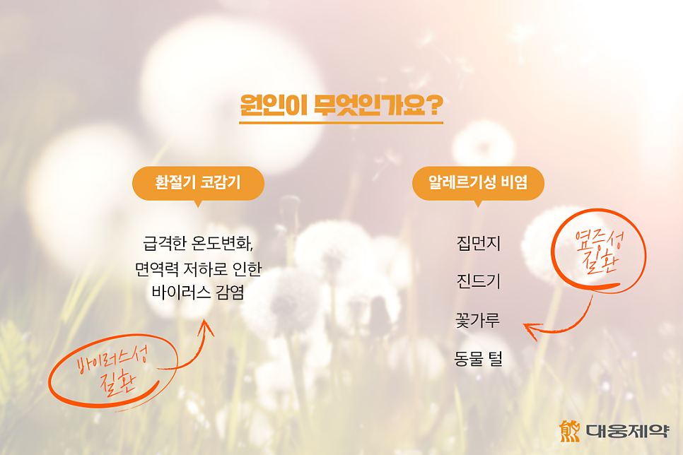 https://newsroom.daewoong.co.kr/archives/716