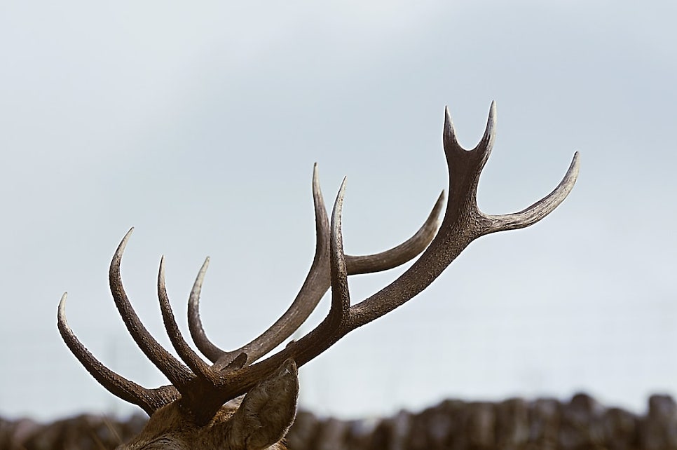 © livin4wheel, 출처 Unsplash