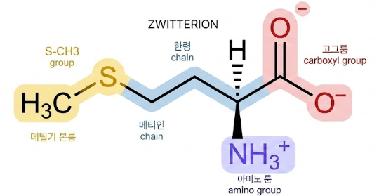 메티오닌 구조식