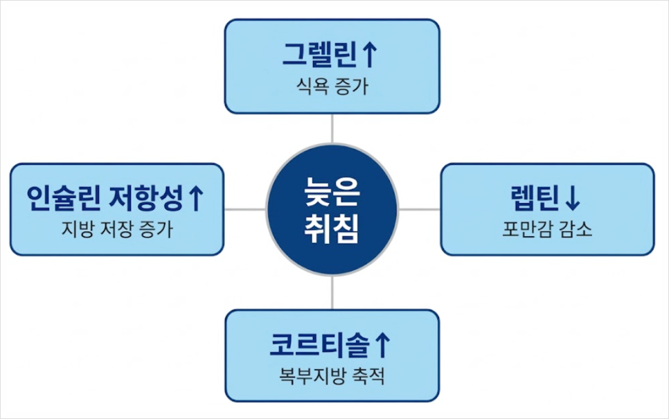 수면 불량이 다이어트와 연관된 호르몬 대사에 미치는 영향