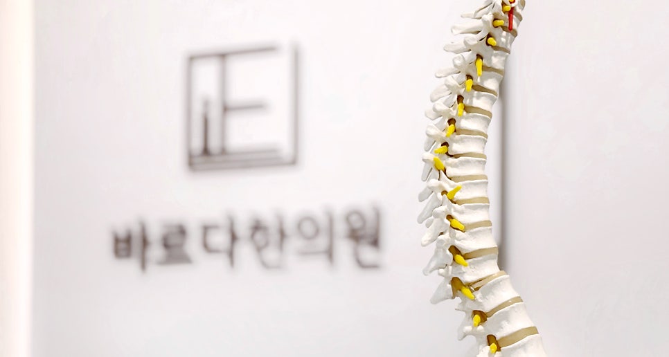 대전 허리디스크 한의원 바르다 한의원
