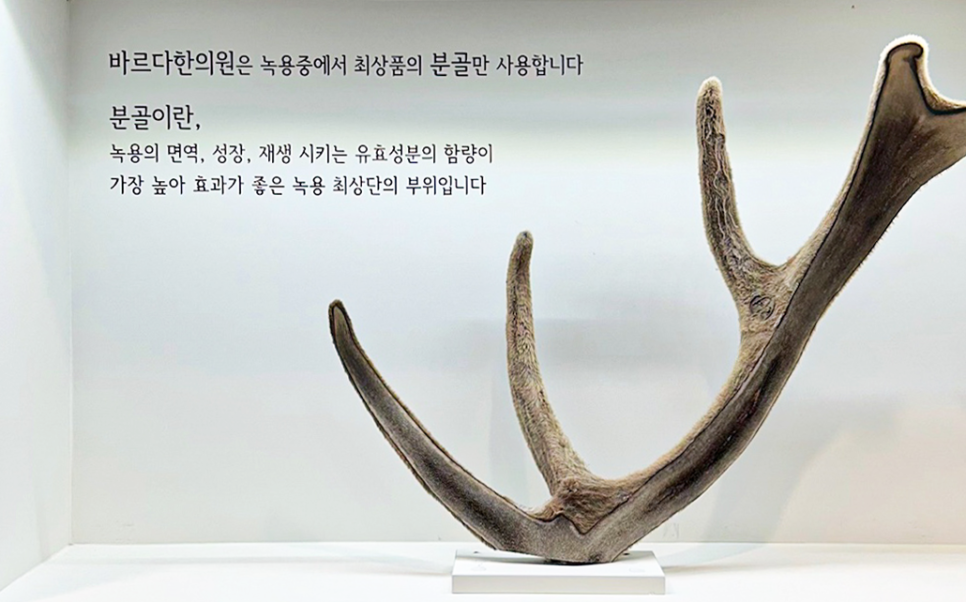 대전 키성장 한약 녹용