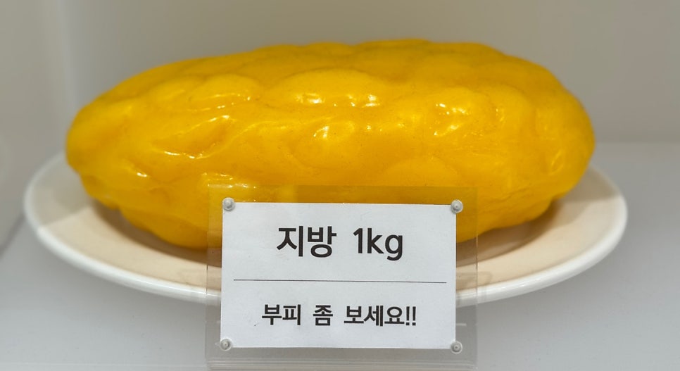 다 같은 지방이 아닙니다. 콜레스테롤과 중성지방은 다릅니다.