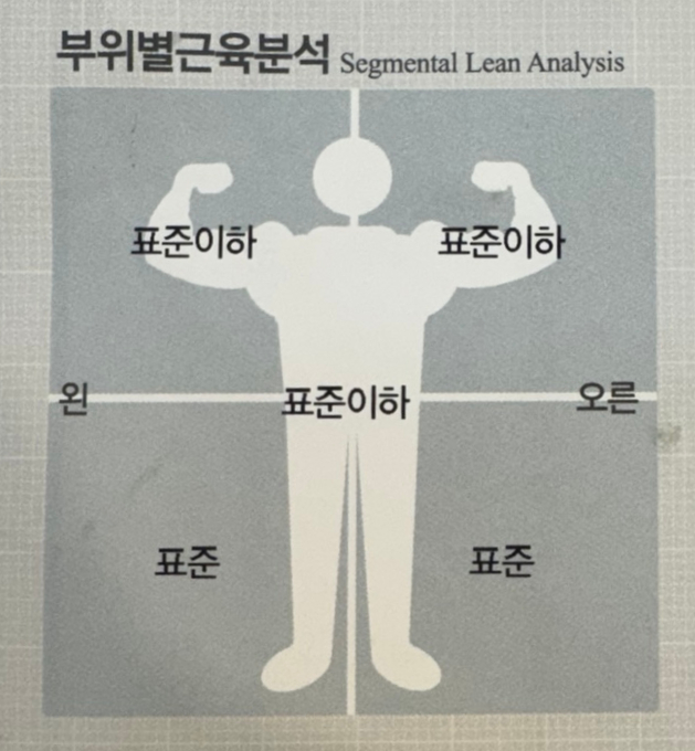 표준 이하의 근육량을 가지고 있으면, 지방간 위험도가 올라갑니다.