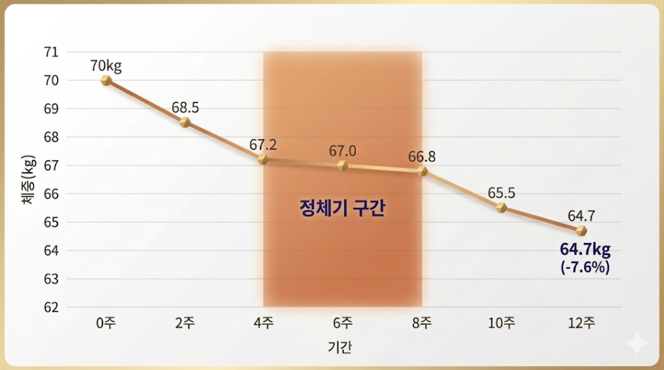 4-8주차 정체기