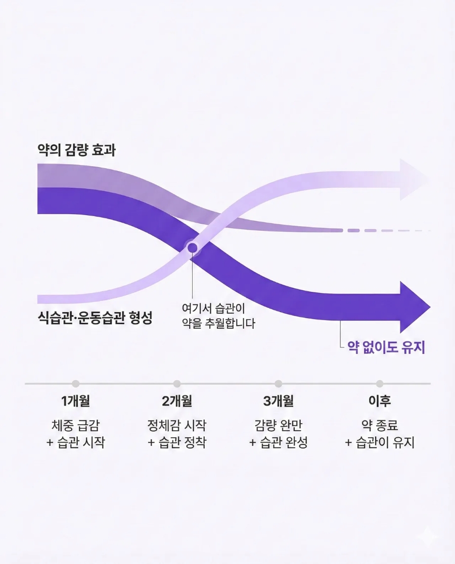 다이어트 한약의 시기별 감량 효과