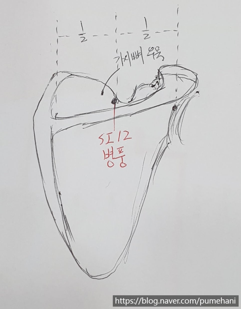 병풍혈 위치. AP view
