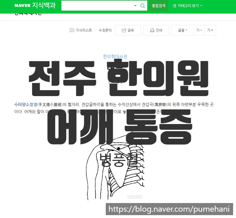 네이버 지식백과, 한의학 대사전