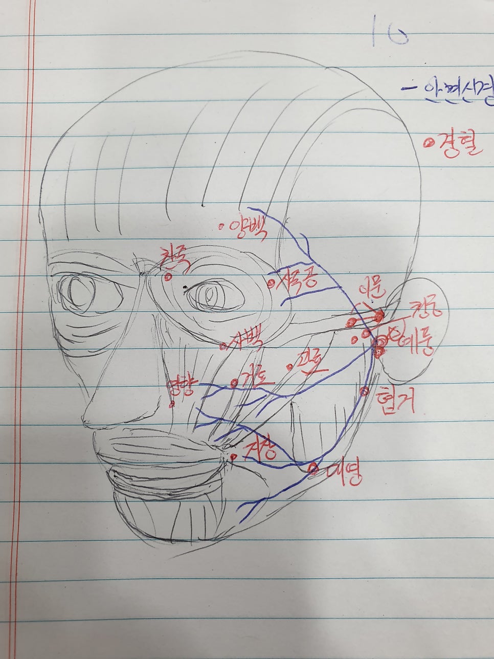 그림 실력이 날이 갈수록 좋아집니다.