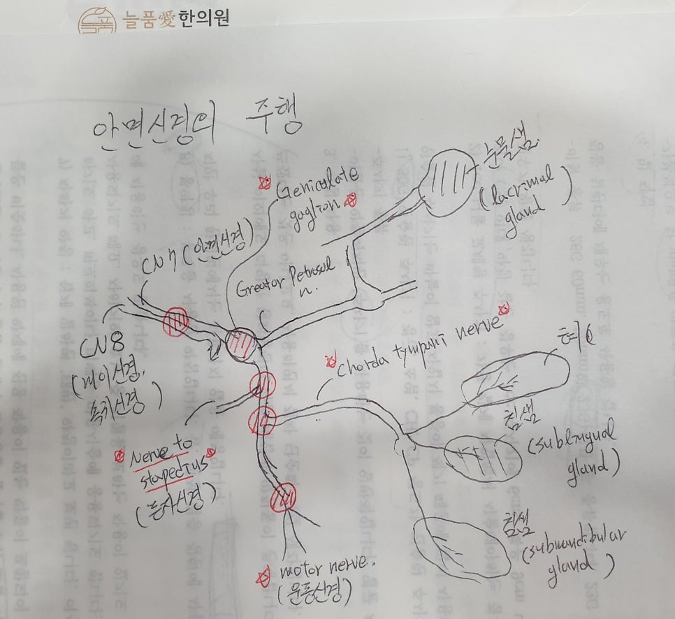 열심히 그렸으니 자세히 봐주세요