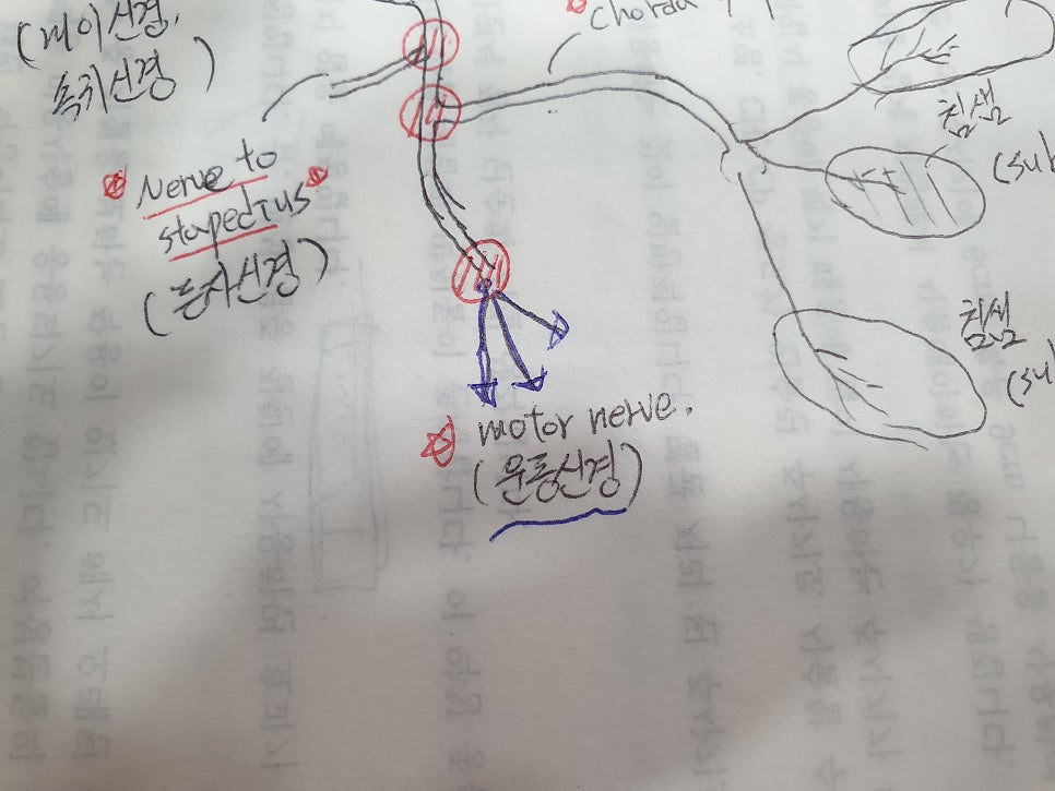 경유돌공 이하에서 문제가 생겼을 때