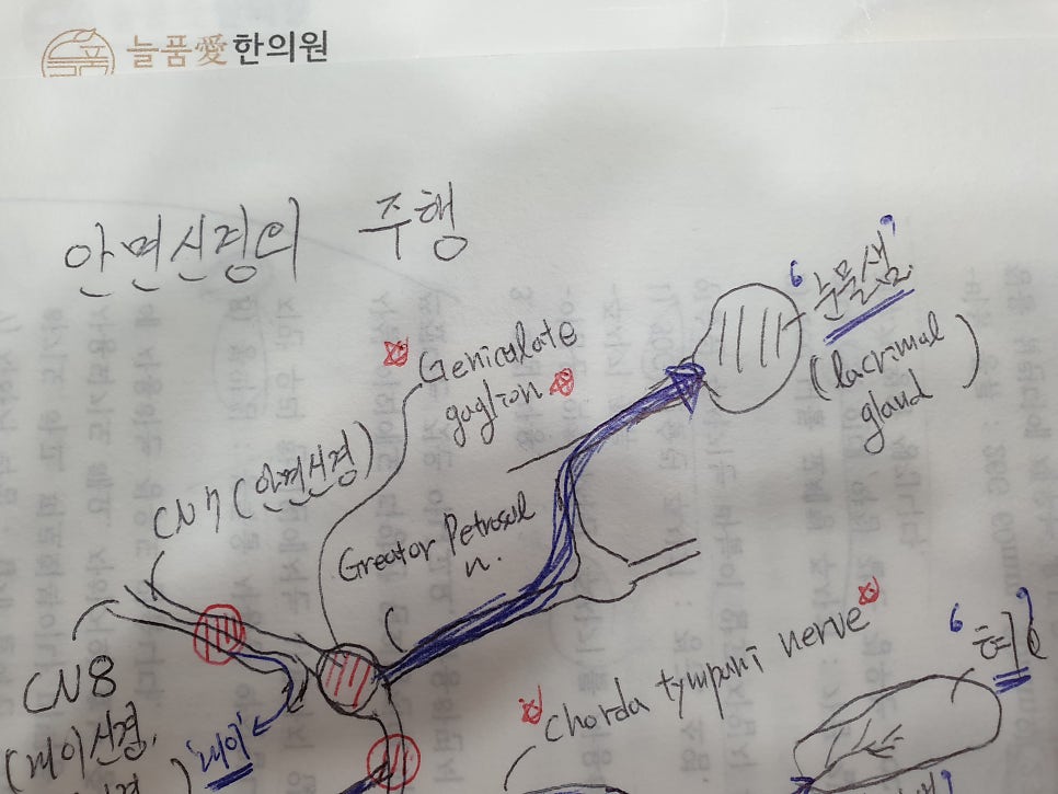 슬신경절부터 아플 때