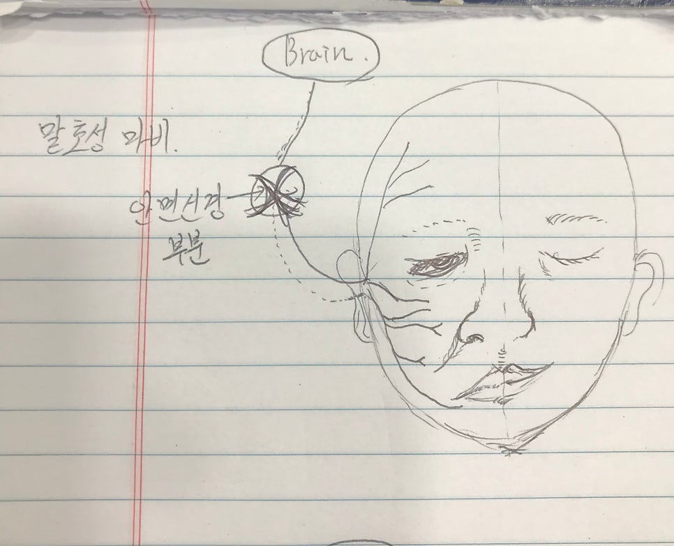 갈수록 그림이 느는 거 같습니다.