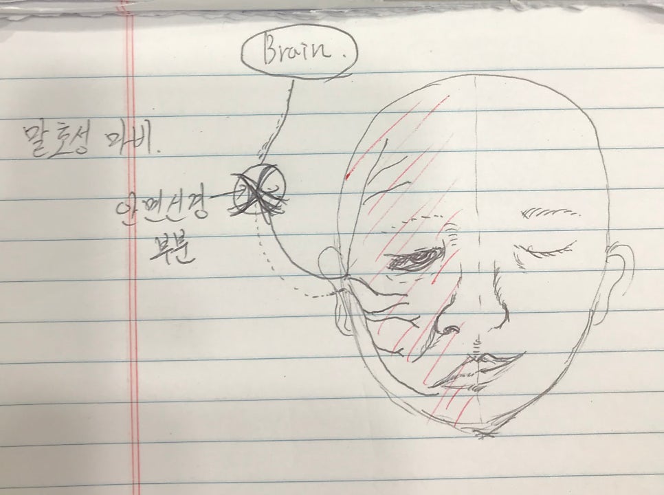 미대 갈 걸 그랬습니다.