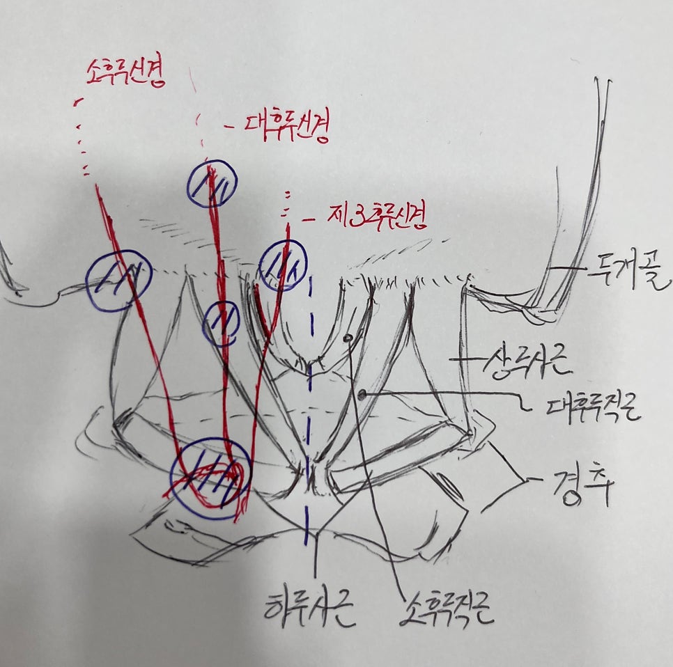 자주 통증을 호소하는 부분