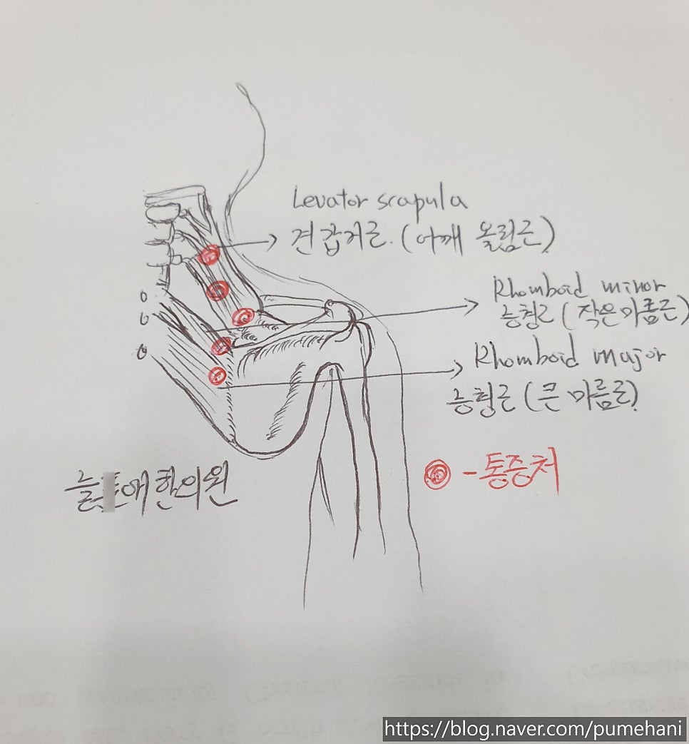 열심히 그렸어요