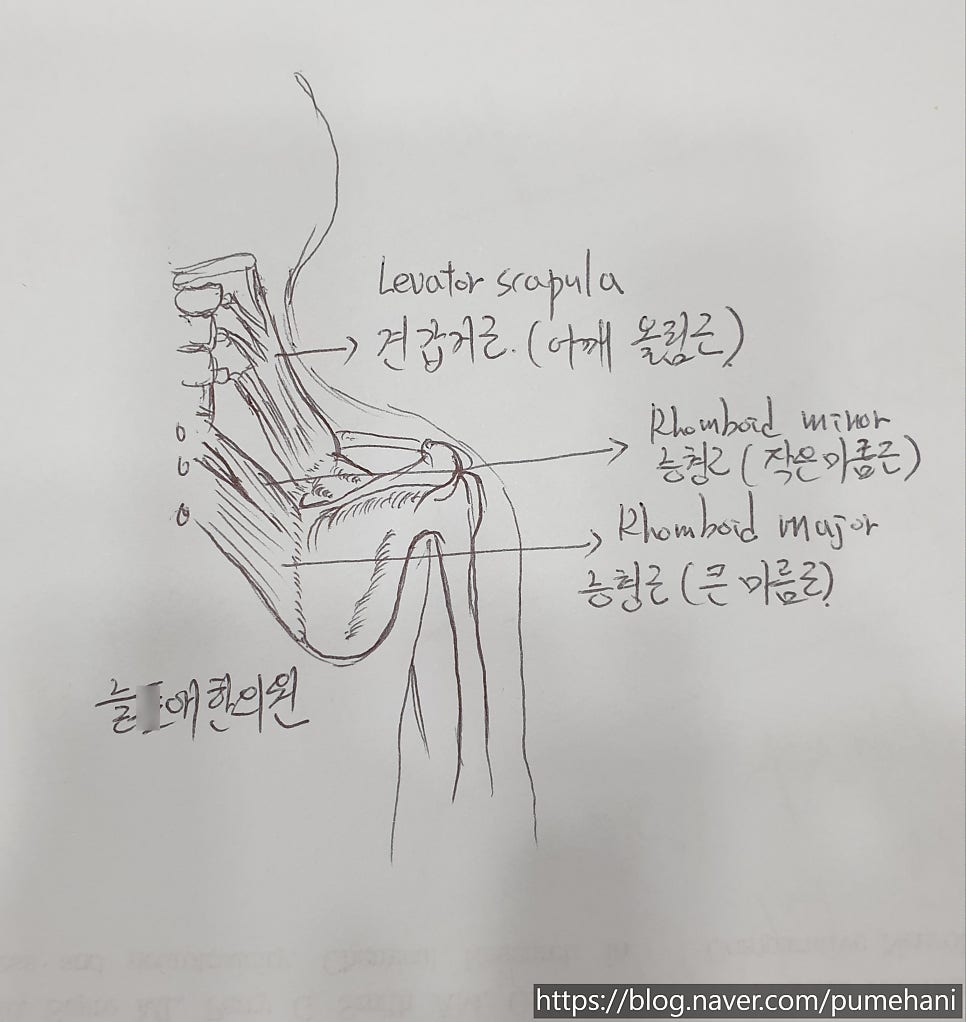 제가 그렸어요!!