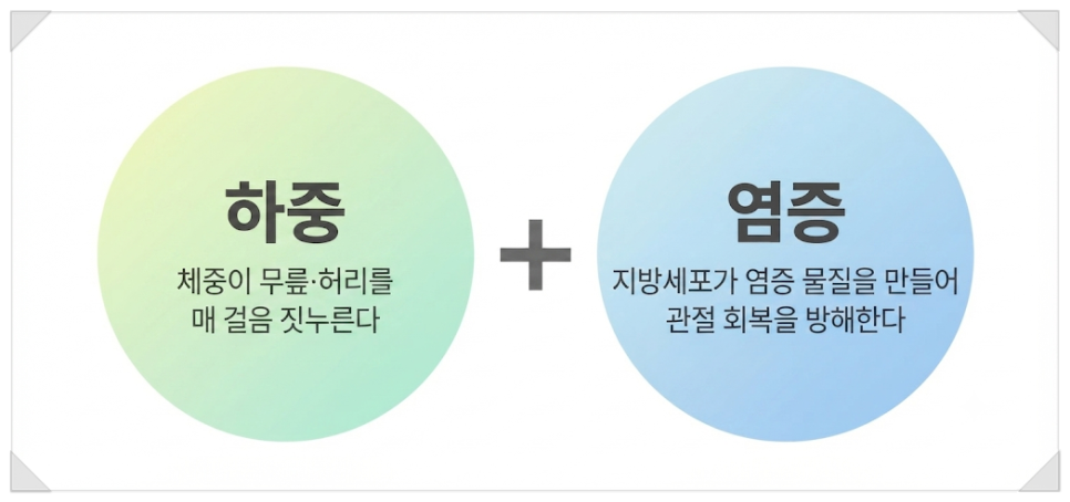 이미지 ai 변환
