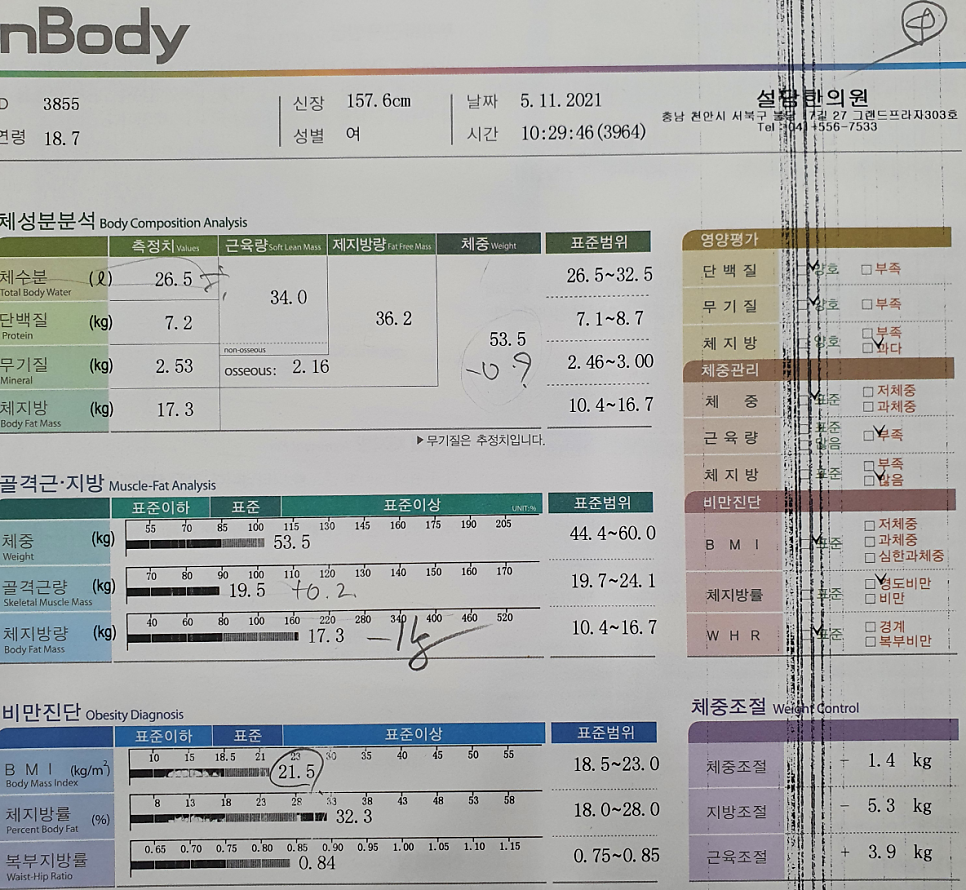 다이어트 3주차