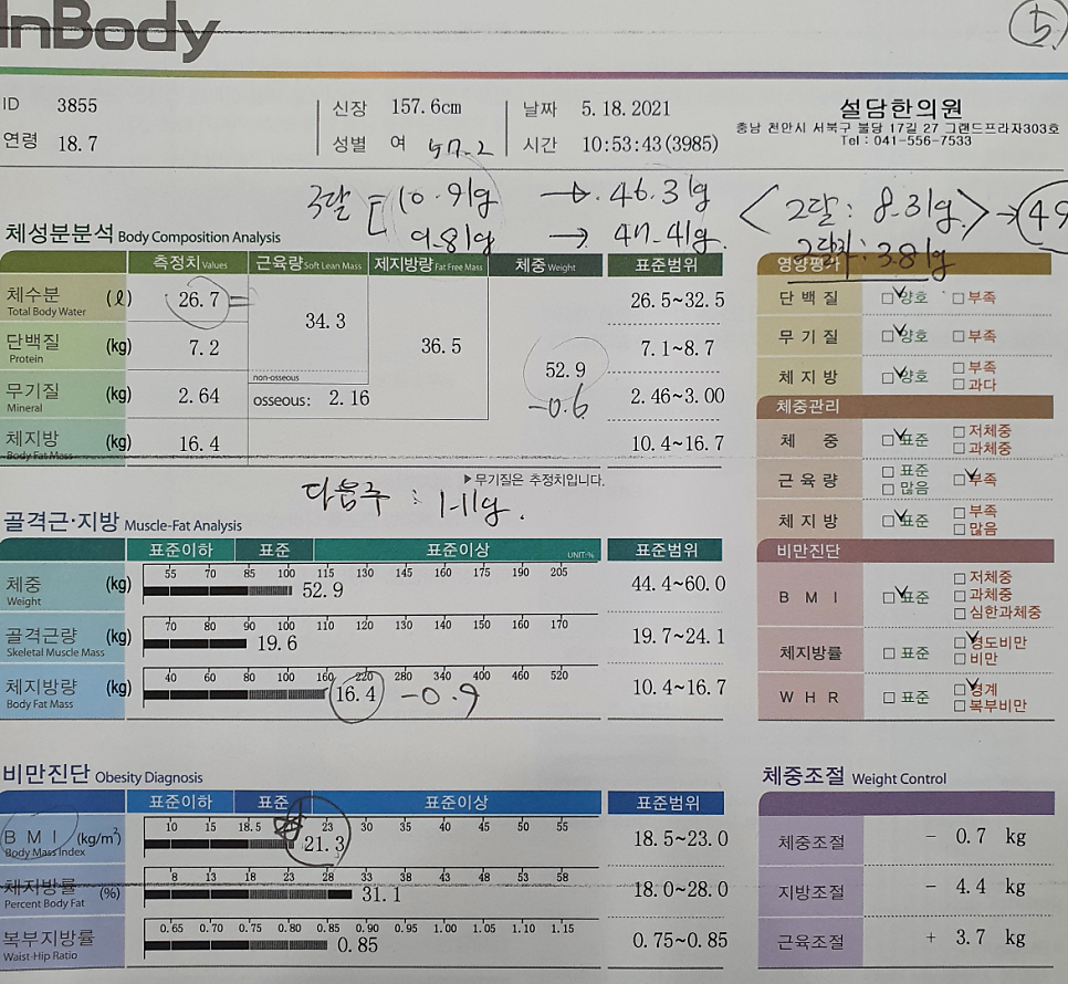 다이어트 4주차