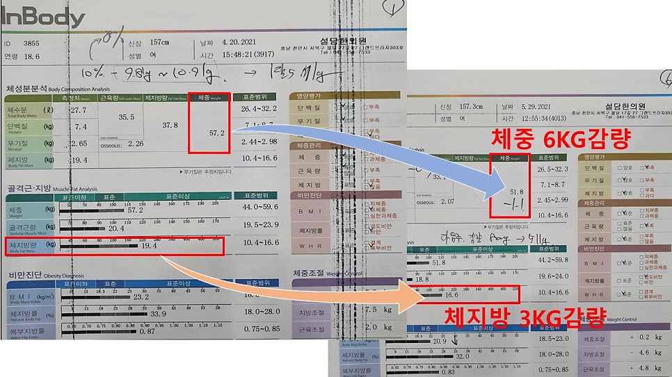 다이어트 전/후