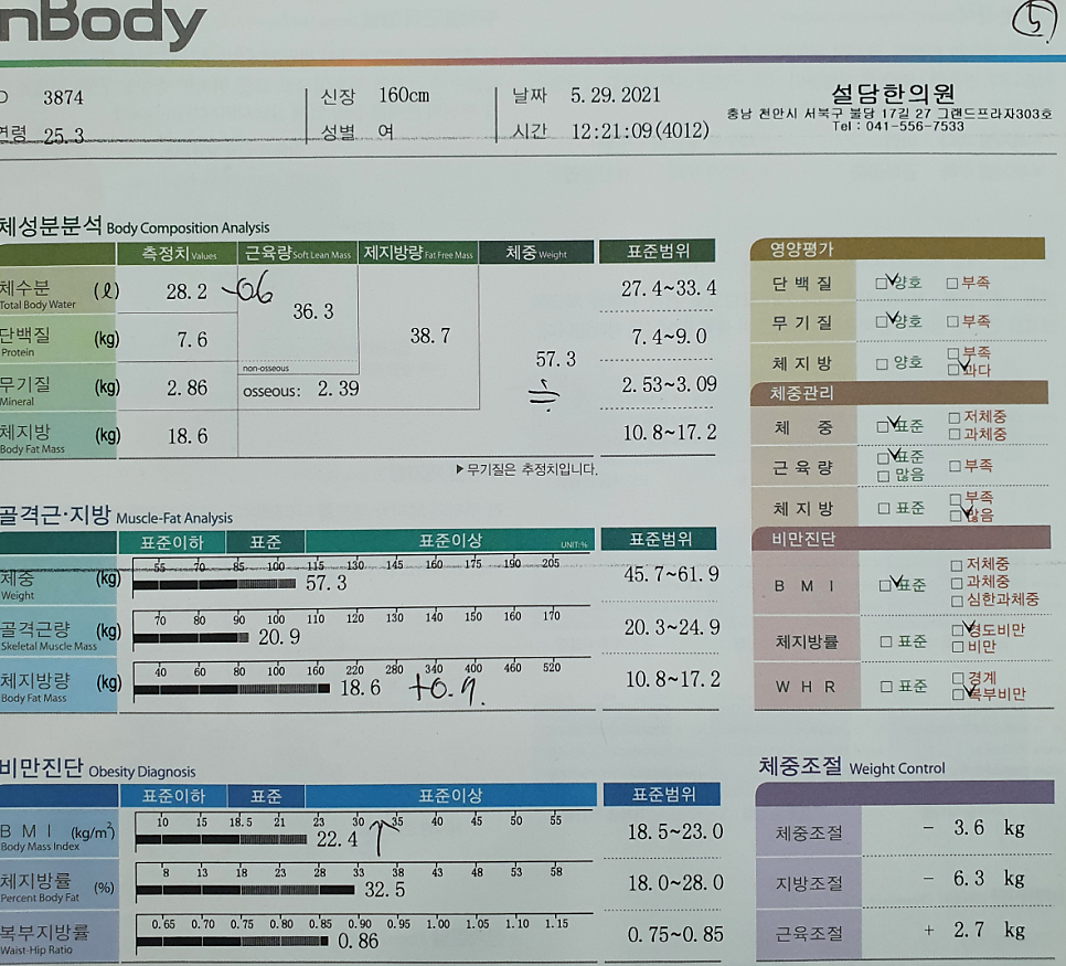 다이어트 한달.