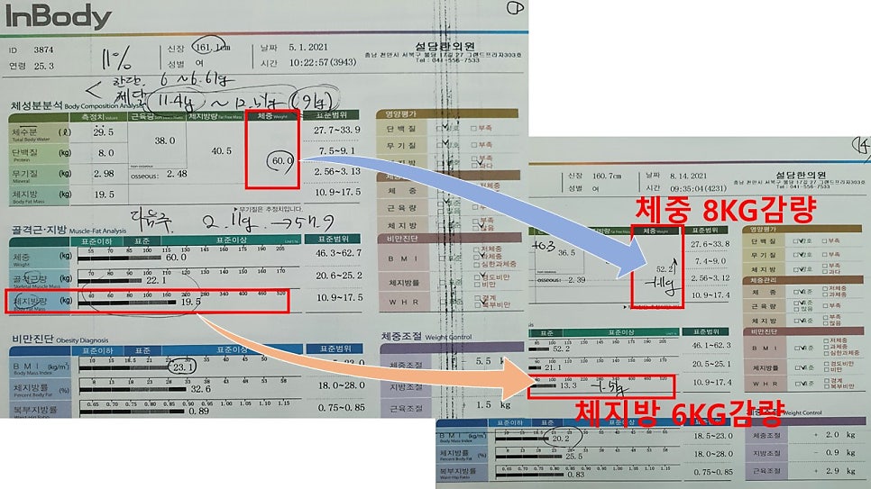 다이어트 3개월 전후