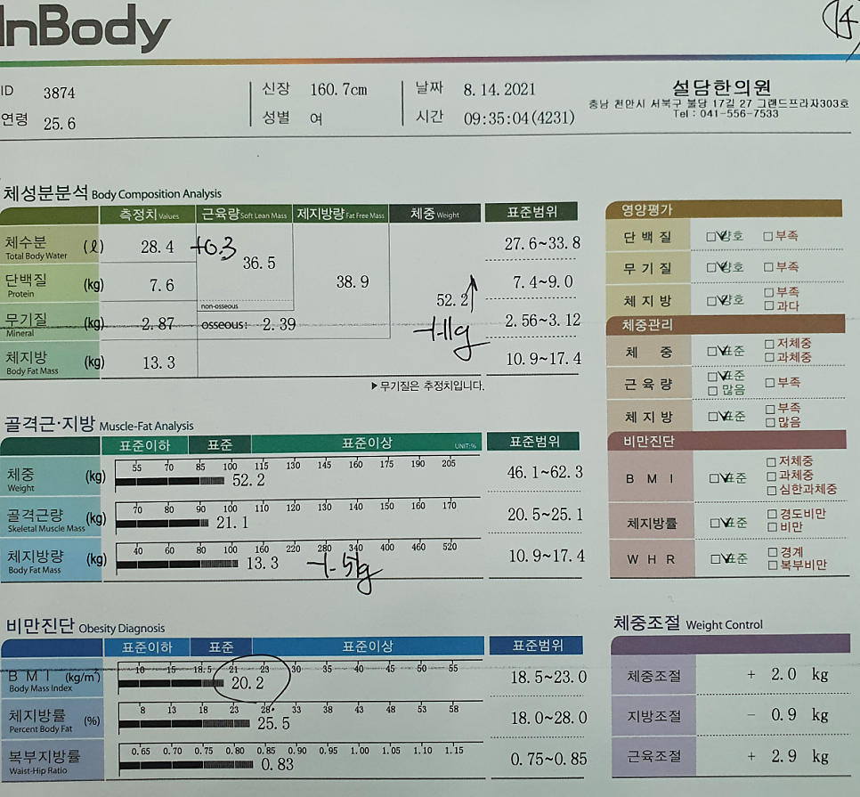 다이어트 마지막 주