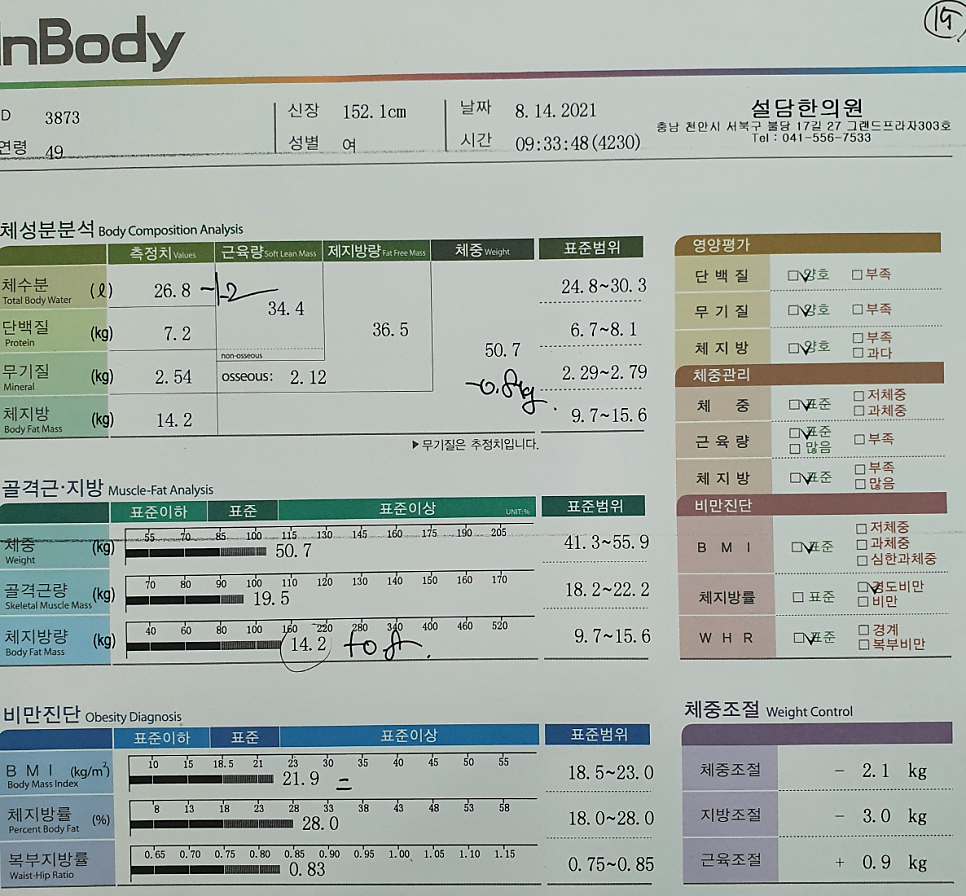 다이어트 마무리