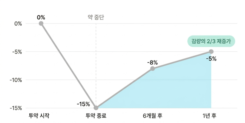 비만 치료 주사제 중단 후 체중 변화 ㅡ 개략적 추세 (실제 수치는 개인차 있음)