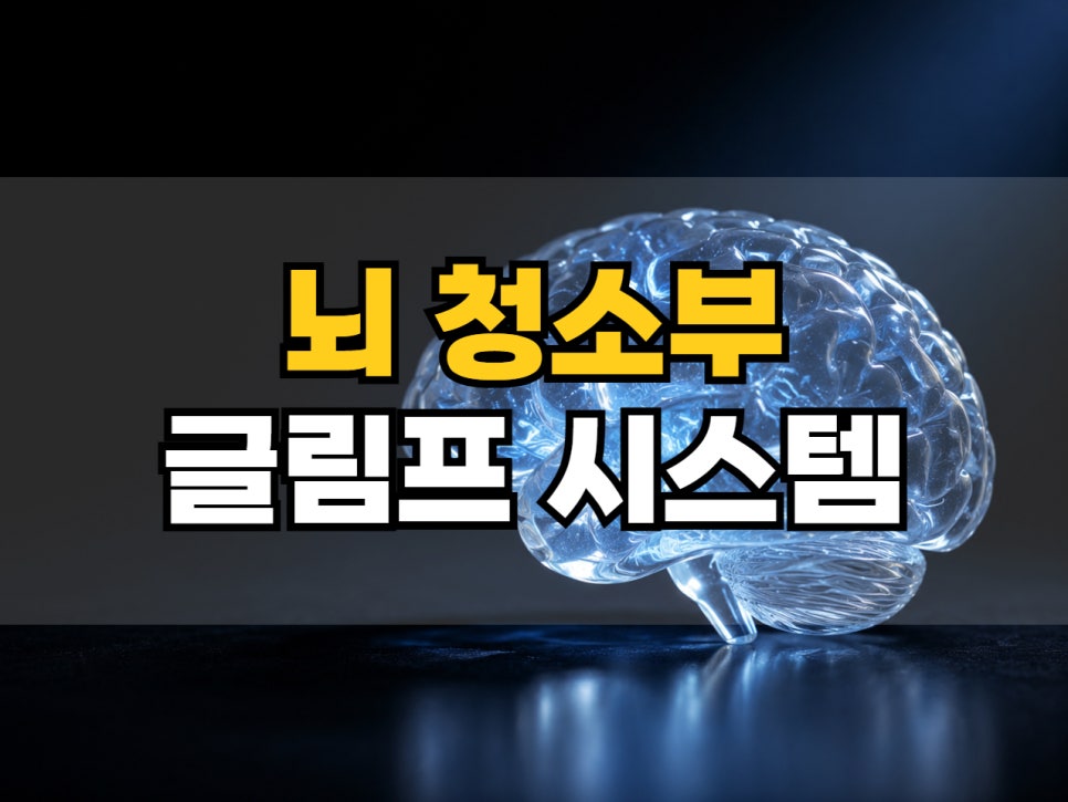 강서구 마곡 한의원에서 설명하는 글림프시스템, 뇌를 청소하는 뇌척수액의 흐름