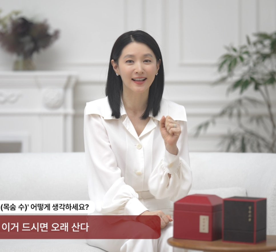 이영애 공진단