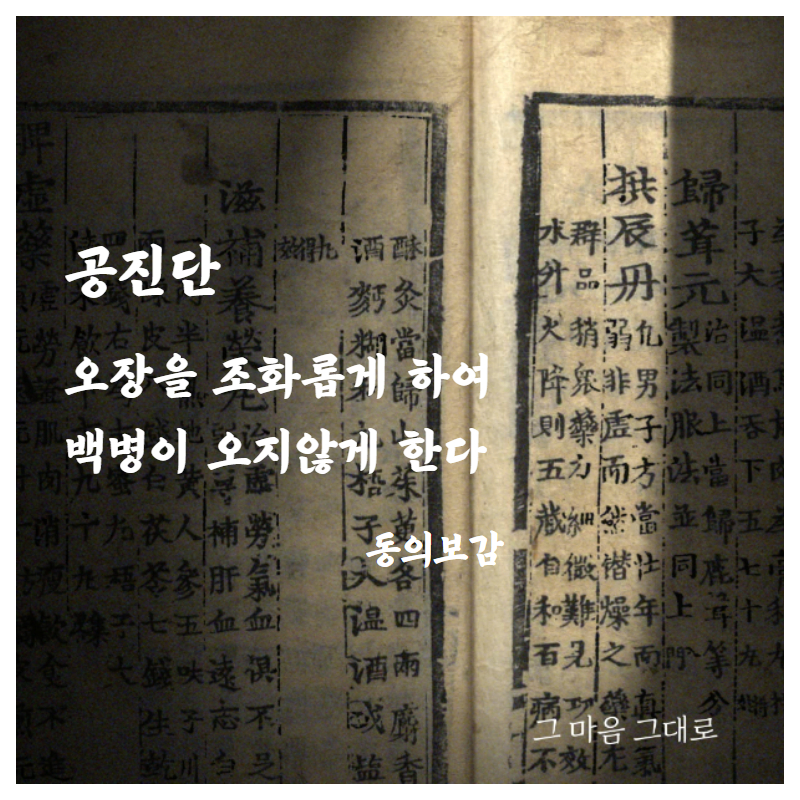 공진단 <동의보감> 발췌