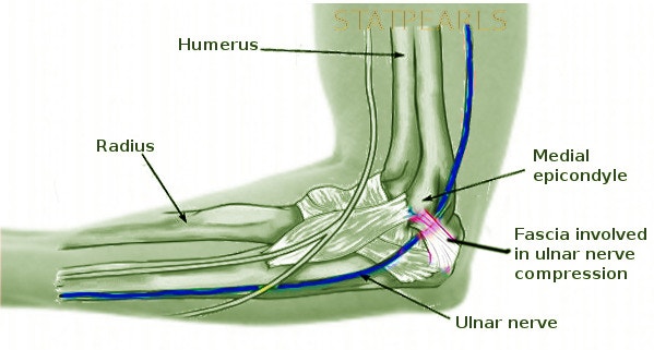 cubital tunnel anatomy