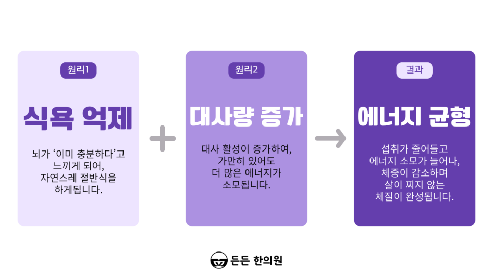 울산 다이어트한약