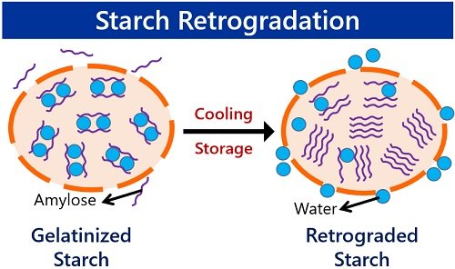 뜨겁게 가열한 전분을 식히면, 저항성 전분으로 바뀐다. © Biology Reader