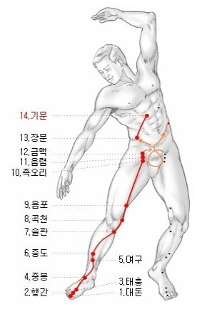 족궐음간경