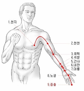 수궐음심포경