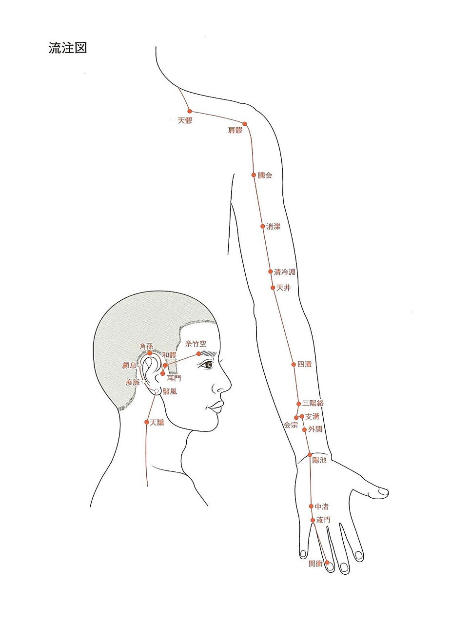 수소양삼초경