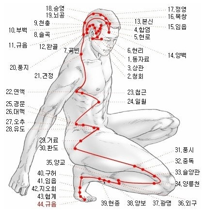 족소양담경