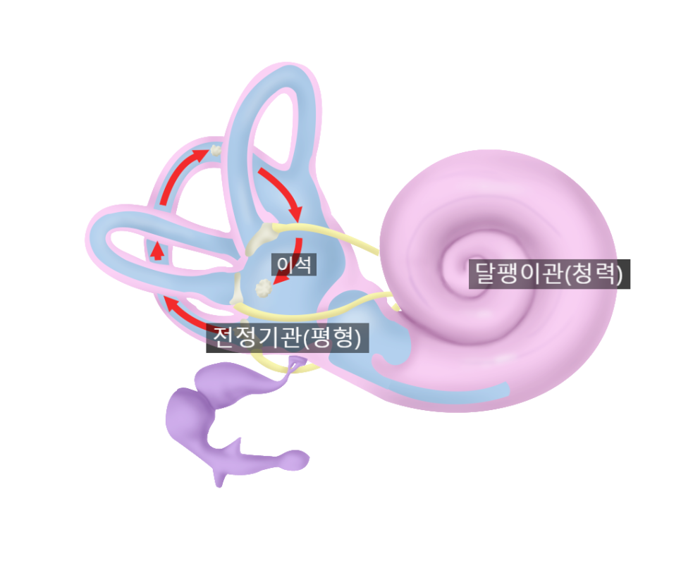 © callilife, 출처