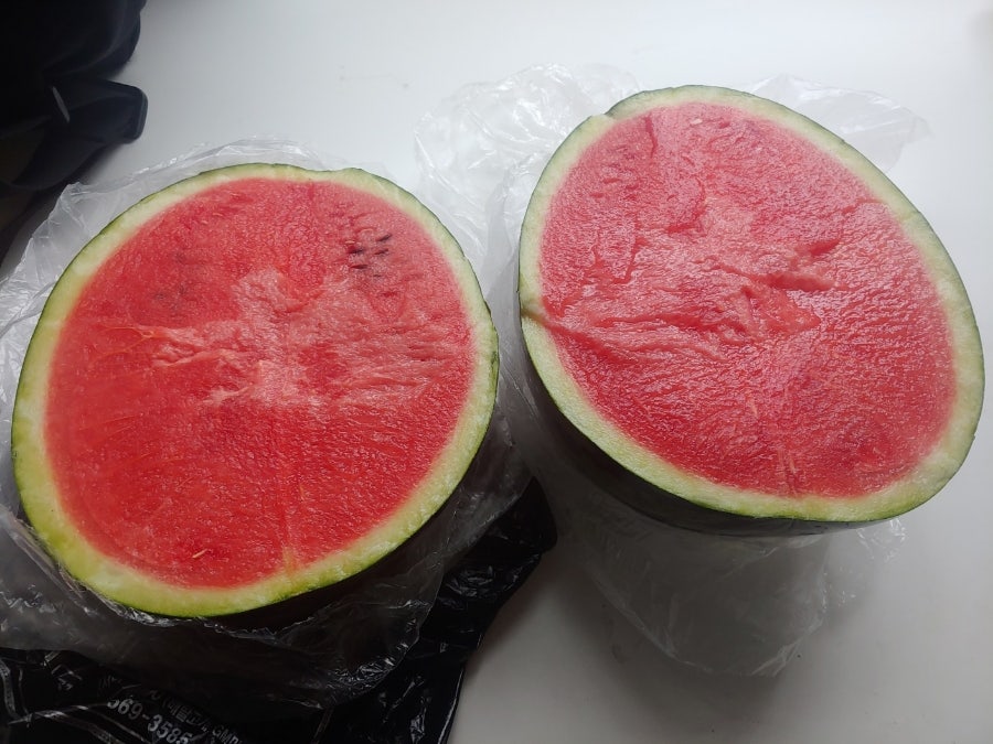 70대 아버님께서 간호사님들과 나눠먹으라고 수박을 사오셨습니다. 정말 맛있었습니다.
